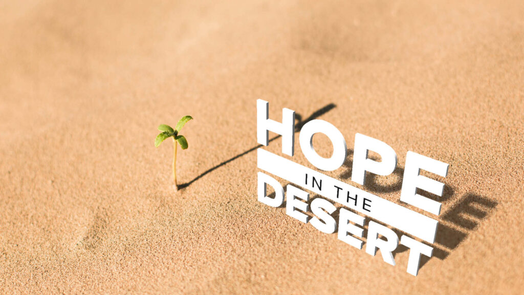 Lent 2021 "Hope in the Desert" image