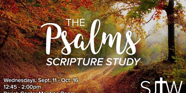 Fall Scripture Study